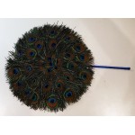 Peacock Feather Fan 1